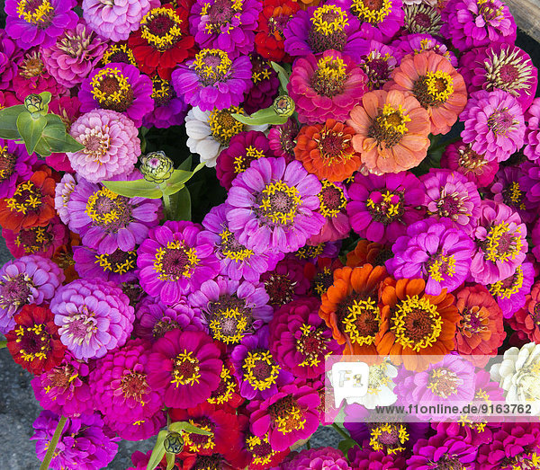 A bouquet of flowers in shades of red