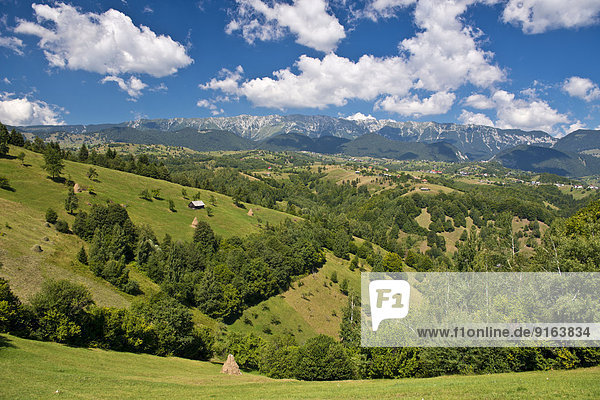 Berglandschaft mit Almwiesen vor Bergkette  Karpaten  Rumänien
