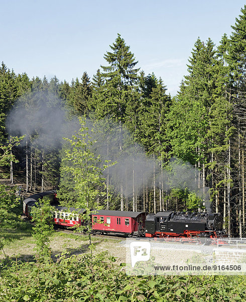 Brockenbahn  bei Drei Annen  Harz  Niedersachsen  Deutschland