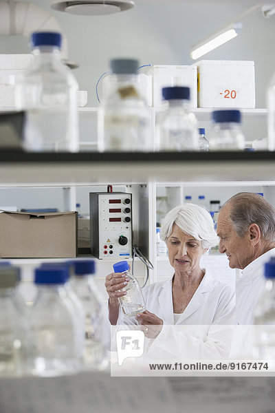 Senior Caucasian scientists working in lab
