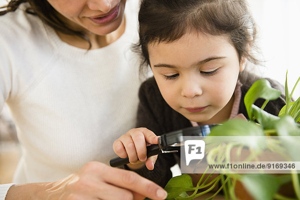 Hispanic mother and daughter examining plants