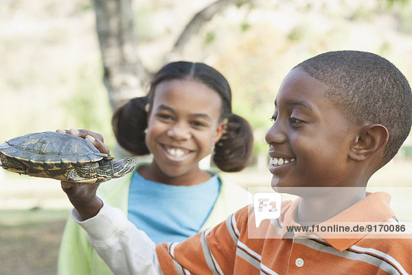 Children examining turtle in park