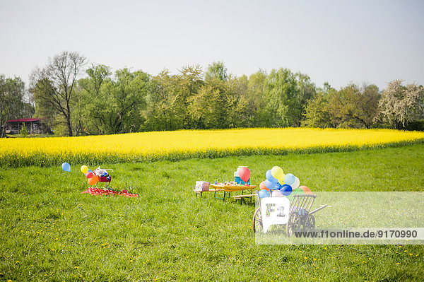 Holzwagen mit Luftballons und Kindergeburtstagstisch auf einer Wiese