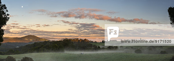 Australia  New South Wales  Dorrigo  meadows in Dorrigo National Park at dawn