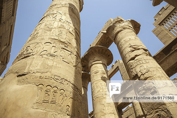 Egypt  Luxor  columns with hieroglyphs of Karnak temple