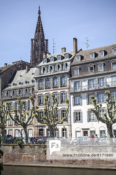 Frankreich  Elsass  Straßburg  Fluss L'ill  Blick auf die Uferpromenade und den Straßburger Domturm