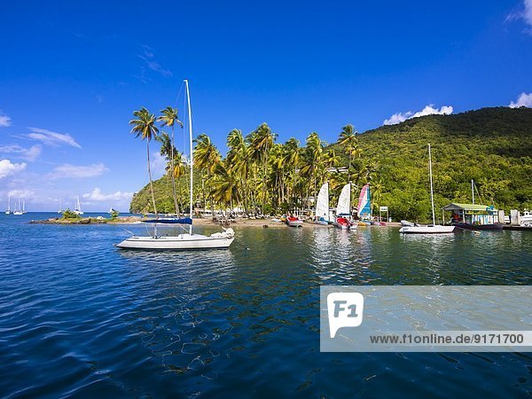 Caribbean  St. Lucia  Sailing yachts in Marigot Bay