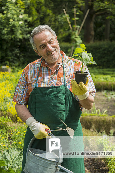 Deutschland,  Hessen,  Lampertheim,  Portrait eines glücklichen Gärtners mit Topfpflanze