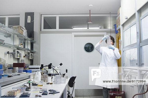 Chemikerin beim Betrachten von Petrischalen im Labor