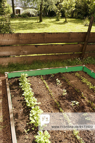 Garden with mixed vegetable patch and slug fence