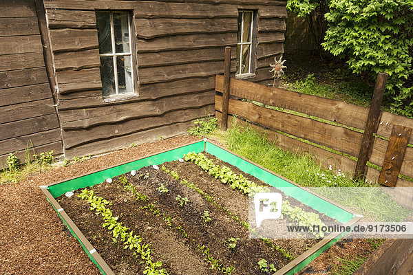 Garden with mixed vegetable patch and slug fence