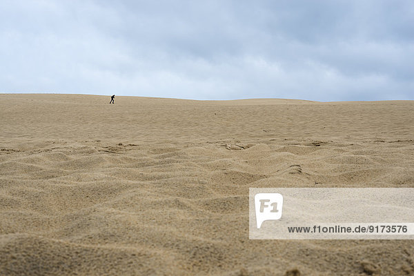 France  Aquitaine  Gironde  Pyla sur Mer  Dune du Pilat  running boy on a desertlike sand dune