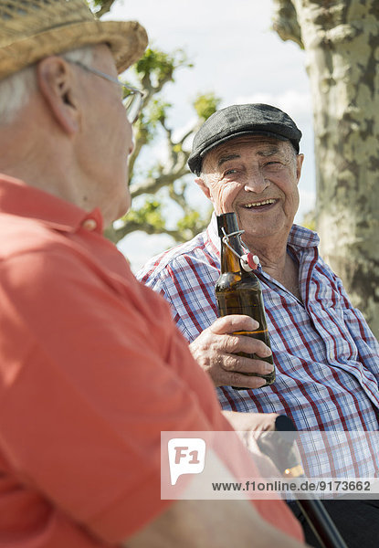 Two old friends toasting with beer bottles in the park