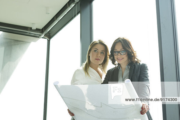 Zwei Geschäftsfrauen im Büro auf der Suche nach einem Bauplan