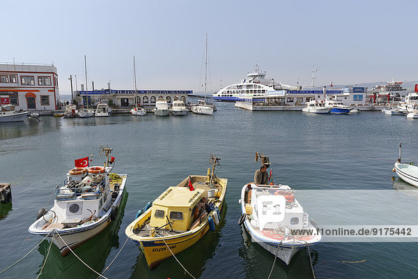 Turkey  Marmara Region  East Thrace  Dardanelles  Gallipoli  Fishing harbour Gelibolu