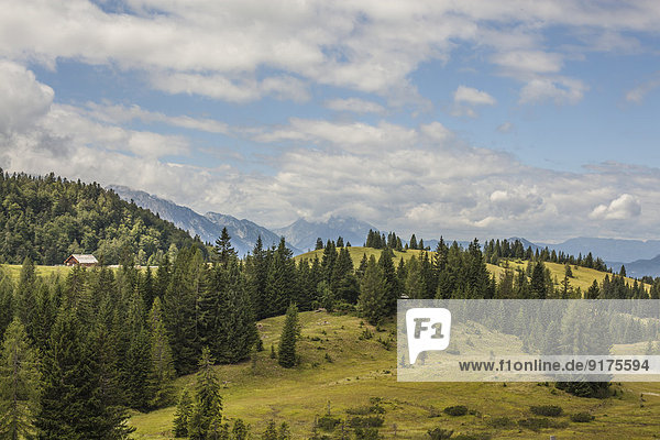 Österreich  Lungau  Wald und Berge