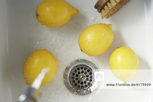 Reinigung von Zitronen mit Gemüsebürste im Spülbecken  erhöhte Ansicht