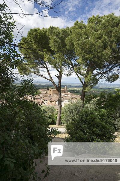 Italy  Tuscany  San Gimignano  City view