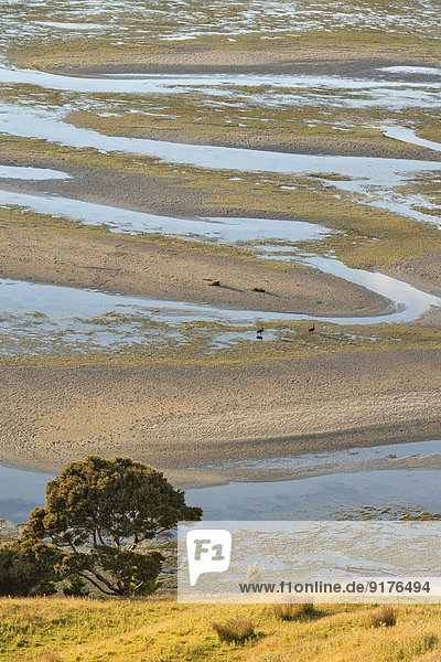 Neuseeland  Golden Bay  Puponga  Muster im Sand bei Ebbe