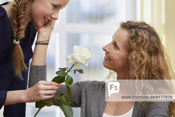 Tochter präsentiert ihrer Mutter eine weiße Rosenblüte