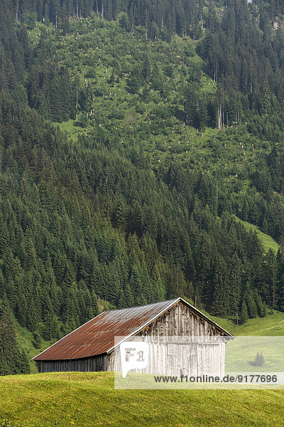 Austria  Allgaeu High Alps  wooden hut in Kleinwalsertal