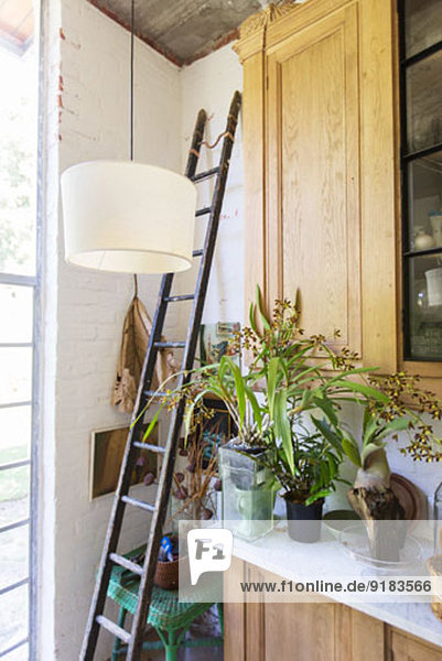 Leiter  Pflanzen und Schränke im rustikalen Haus