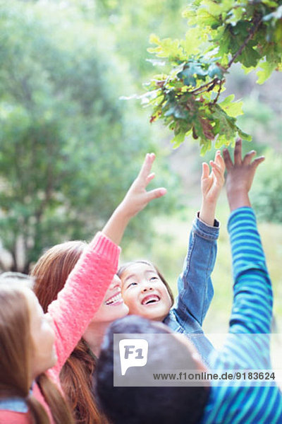 Lehrer und Schüler greifen nach Blättern am Baum
