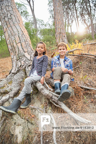 Kinder sitzen auf Baumwurzeln im Wald