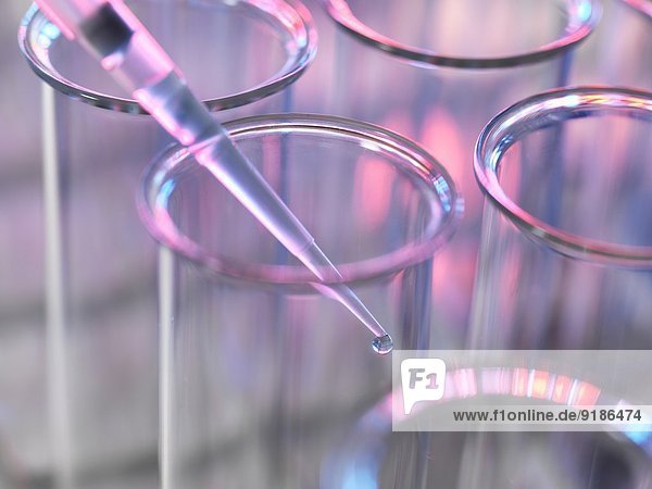 Pipettieren der Probe in ein Reagenzglas im Labor