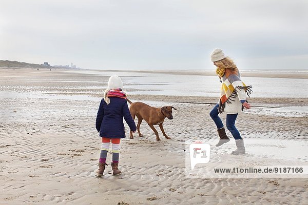 Mittlere erwachsene Frau mit Tochter und Hund beim Fußball am Strand  Bloemendaal aan Zee  Niederlande