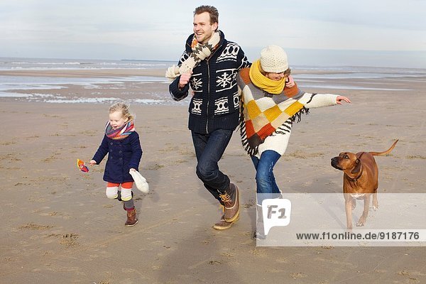 Mittlere erwachsene Eltern  Tochter und Hund am Strand  Bloemendaal aan Zee  Niederlande