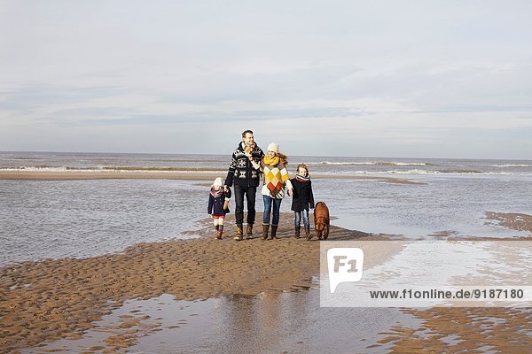 Mittlere erwachsene Eltern mit Sohn,  Tochter und Hund am Strand,  Bloemendaal aan Zee,  Niederlande