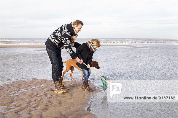 Mid adult man and son fishing on beach  Bloemendaal aan Zee  Netherlands