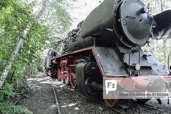 Dampflokomotive im Wald