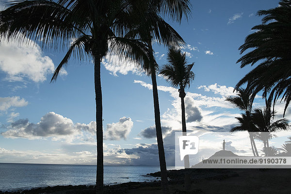 Silhouette Palmen am Strand vor bewölktem Himmel