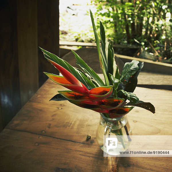 Frischer Paradiesvogel und Blätter in Blumenvase auf dem Tisch