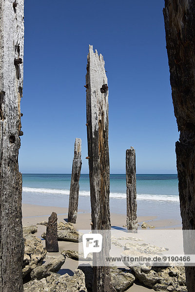 Holzmasten am Strand gegen den klaren Himmel