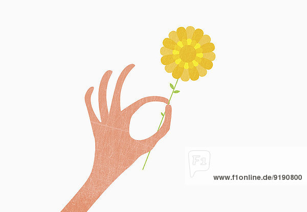 Hand hält gelb vor weißem Hintergrund