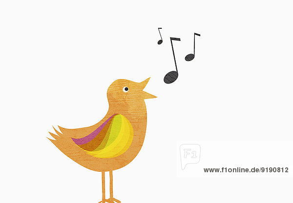 Ein Singvogel mit Musiknoten auf weißem Hintergrund