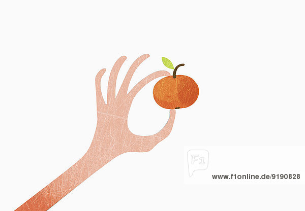 Eine Hand hält eine Orange auf weißem Hintergrund.