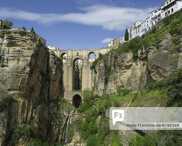 El Tajo Canyon und Brücke El Puente Nuevo  Ronda  Provinz Málaga  Andalusien  Spanien