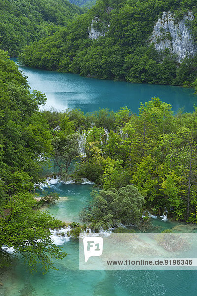 Untere Seen mit kleinen Wasserfällen  Nationalpark Plitvicer Seen  Plitvicka Jezera  Lika-Senj  Kroatien