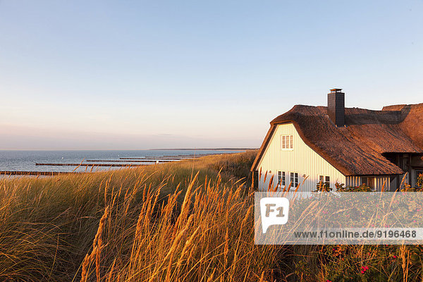 Thatched cottage in the dunes on the beach  Baltic Sea  Ahrenshoop  Fischland  Mecklenburg-Western Pomerania  Germany