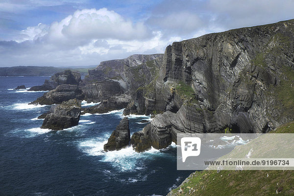 Steilklippen  Mizen Head  südwestlichster Punkt von Irland  County Cork  Republik Irland