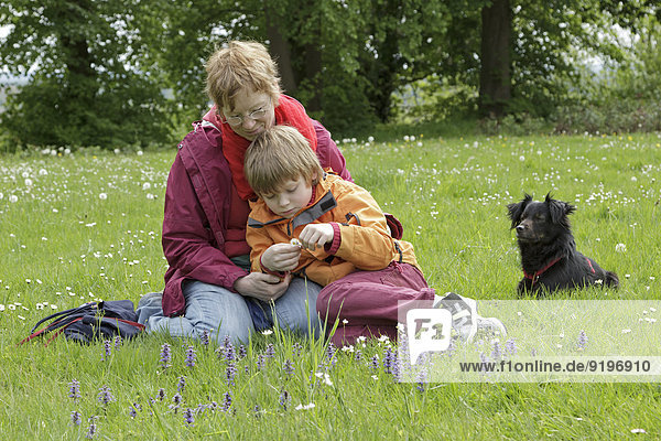 Mother  son and dog on a meadow  Schleswig-Holstein  Germany