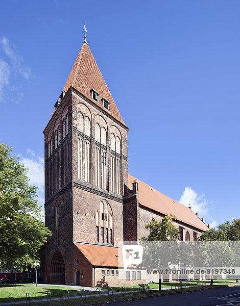 St.-Jacobi-Kirche aus dem 12. - 13. Jahrhundert  Hansestadt Greifswald  Mecklenburg-Vorpommern  Deutschland