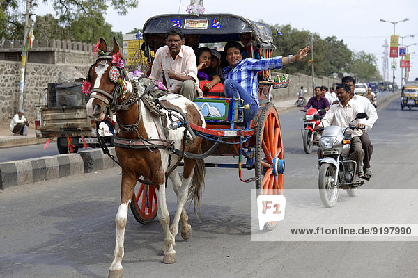 Pferde-Taxi  Bijapur  Karnataka  Indien
