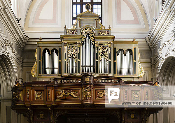 Orgel  erbaut von Ruffatti 1961 und Francis Criscuolo 1866  der barocken Kathedrale Santa Maria Assunta  Molfetta  Provinz Bari  Apulien  Italien