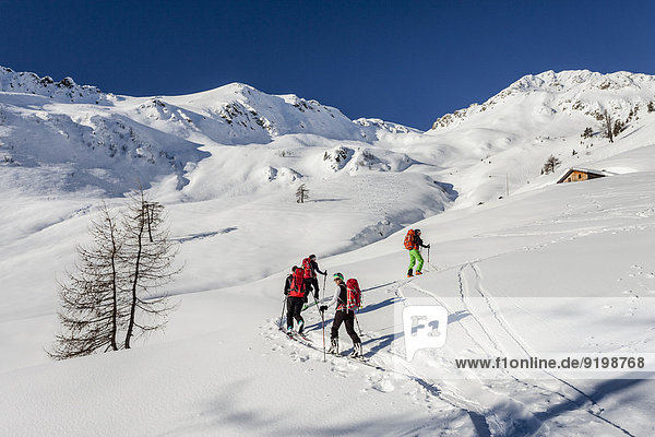 Skitourengeher bei der Stierbergalm  beim Aufstieg auf die Seespitz  hinten die Seespitz  Proveis  Deutschnonsberg  Ultental  Trentino-Südtirol  Italien