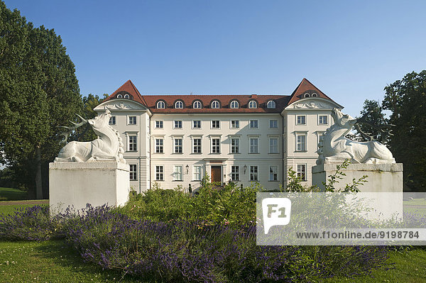Hauptfassade mit Parkanlage von Schloss Wedendorf  1679 gebaut  1810 im klassizistischem Stil umgebaut  vorne zwei Hirschskulpturen  heute Hotel  Wedendorf  Mecklenburg-Vorpommern  Deutschland